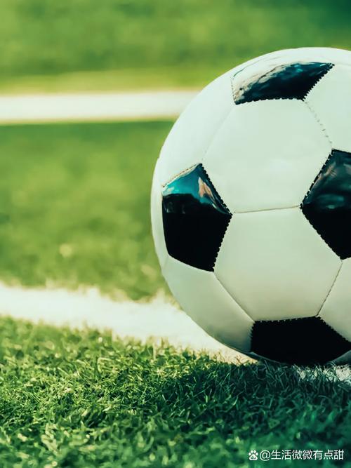 天天盈球首页 - 专业体育赛事分析平台界面展示