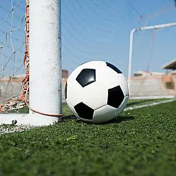 体育爱好者使用天天盈球分析赛事